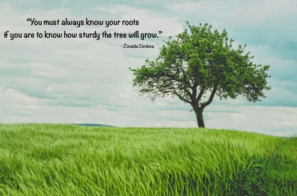 "You must always know your roots if you are to know how sturdy the tree will grow." - Zoraida Córdova